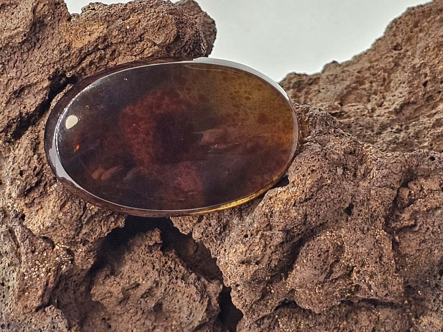Baltic Amber FS-x-x-00156