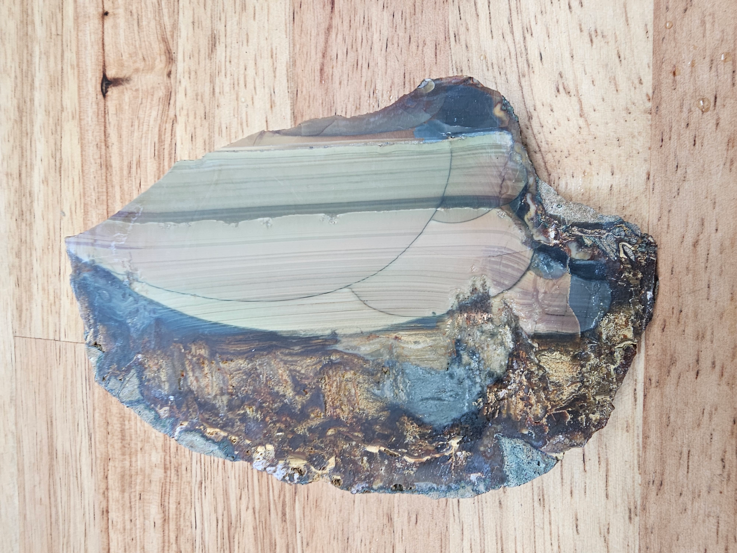 Blue Mountain Jasper JA-x-00149