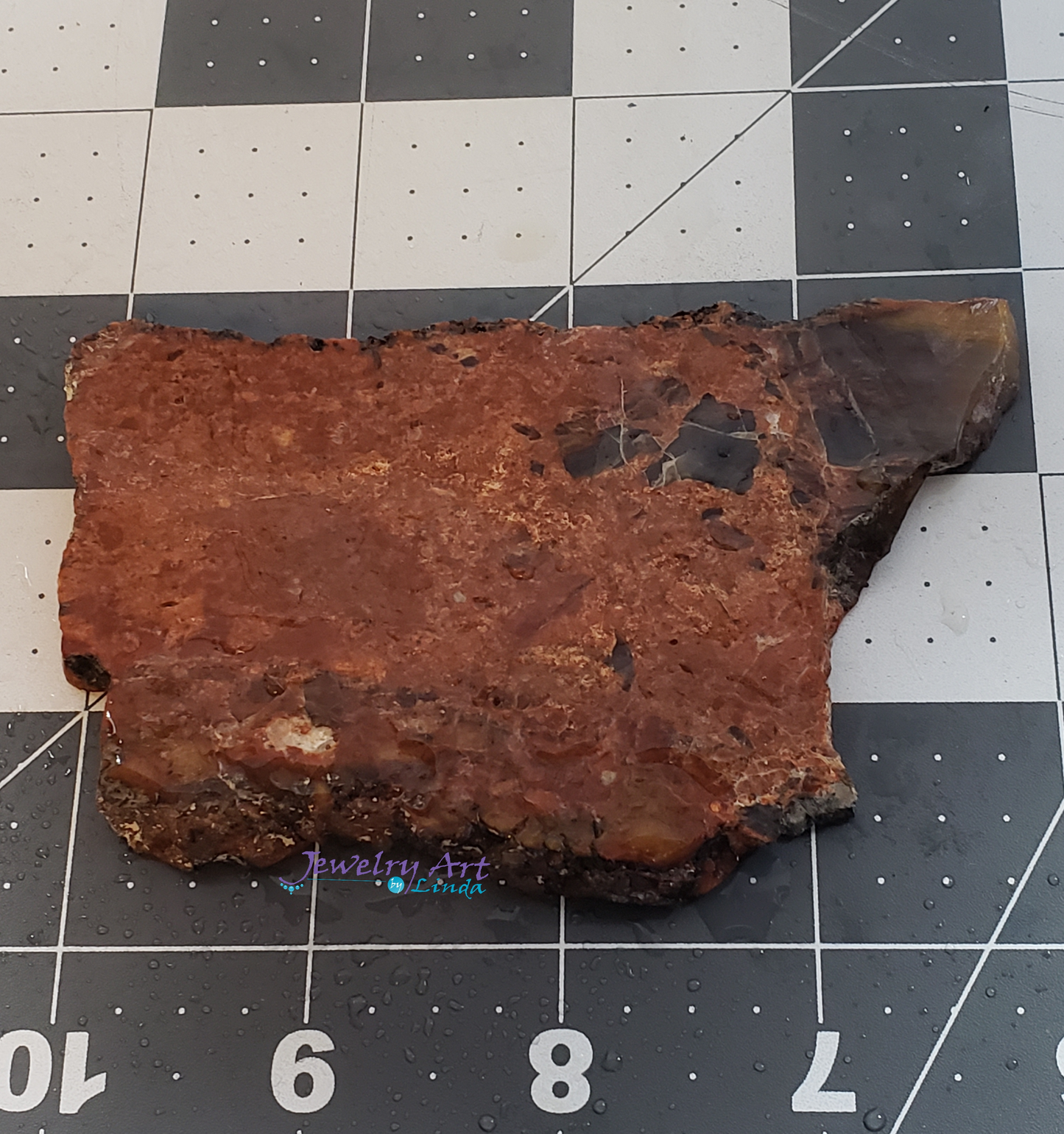 Petrified Wood PW-00003-02