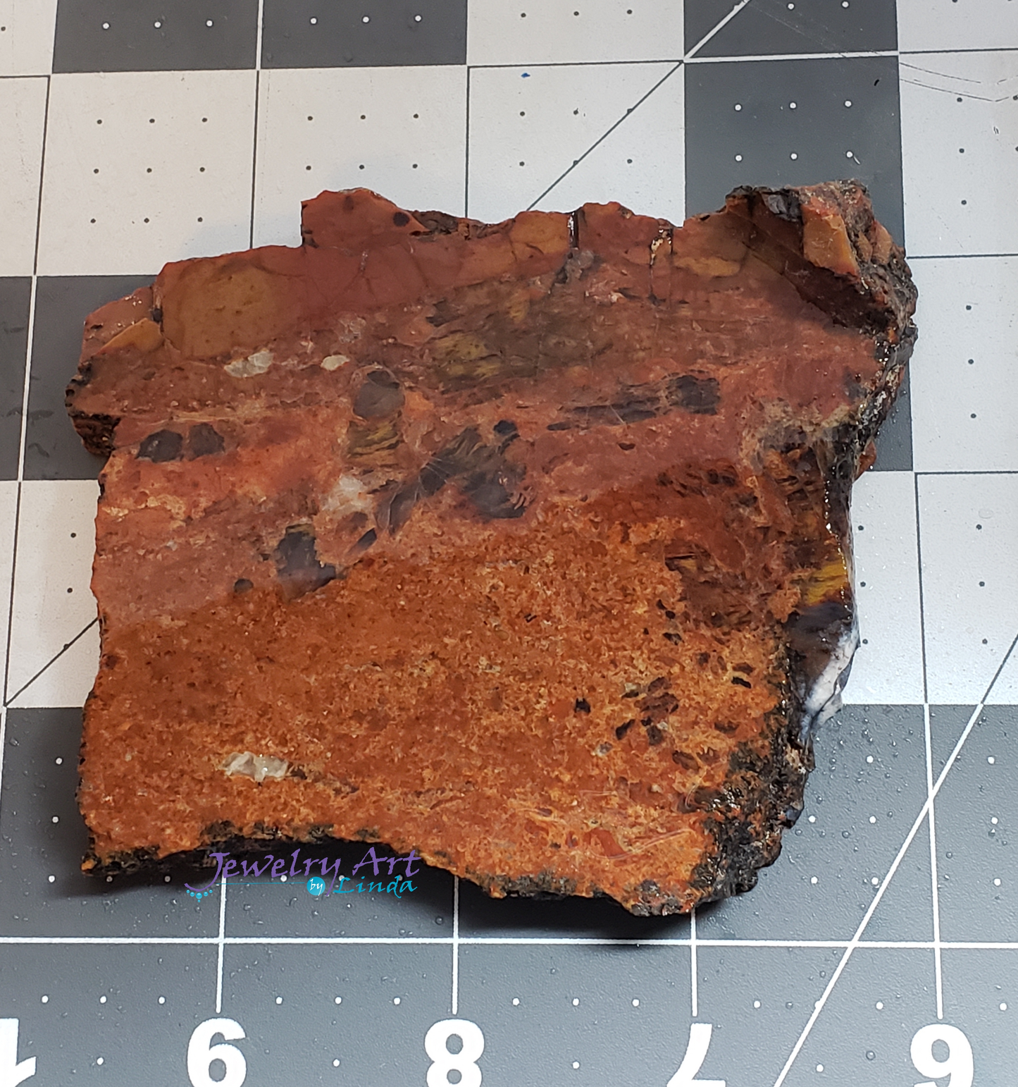 Petrified Wood PW-00003-03
