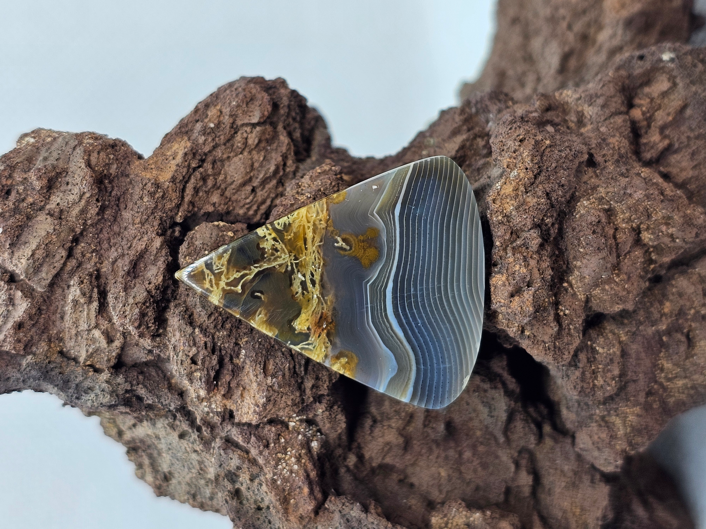 Timor Agate AG-x-x-00211