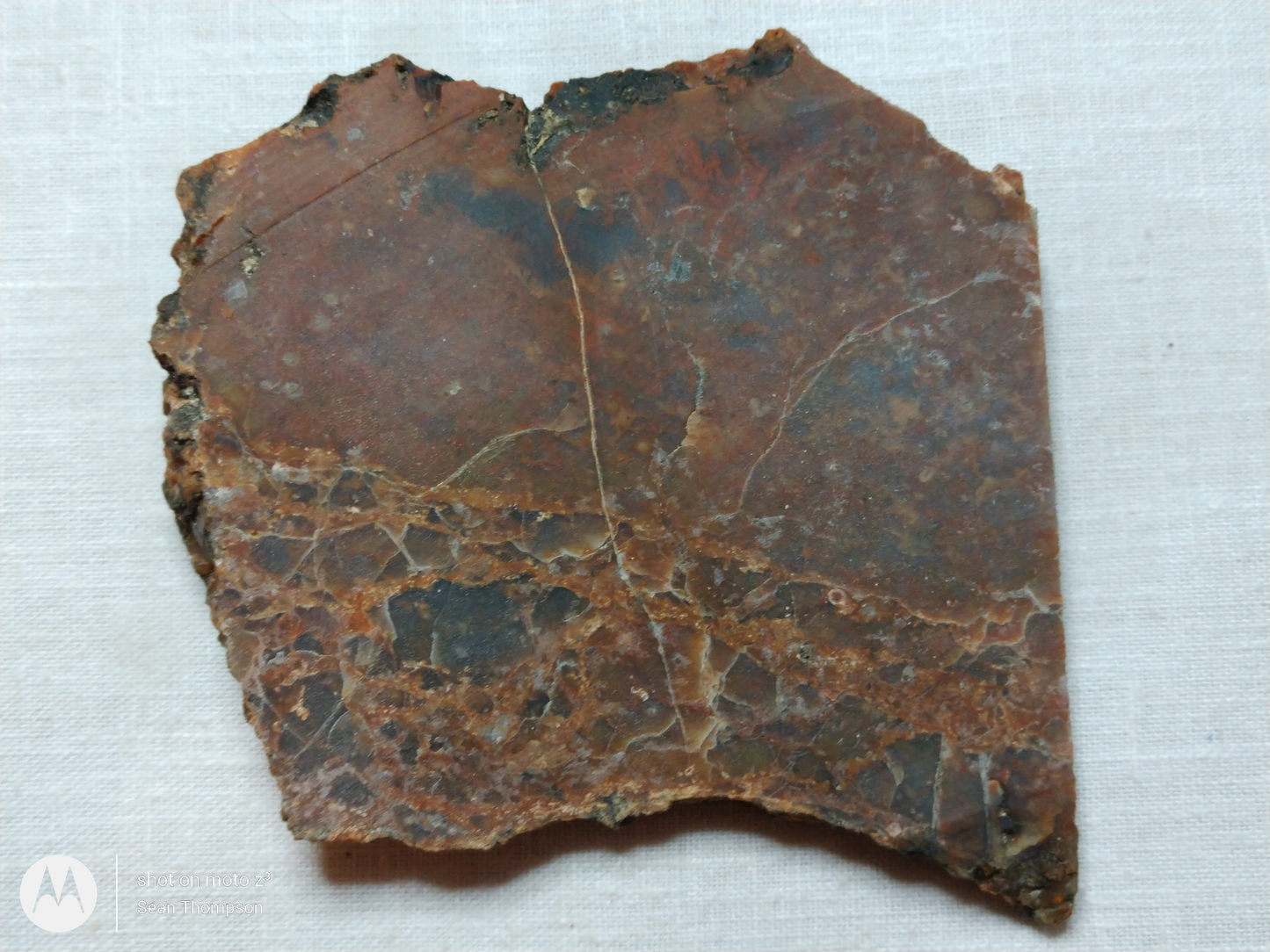 Petrified Wood PW-00006-02