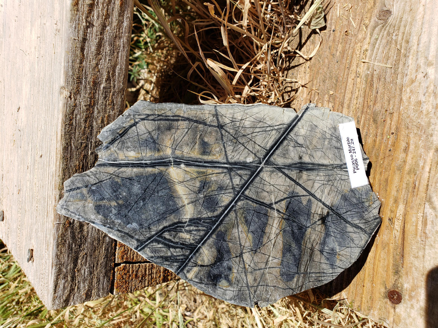 Picasso Marble PM-x-00004