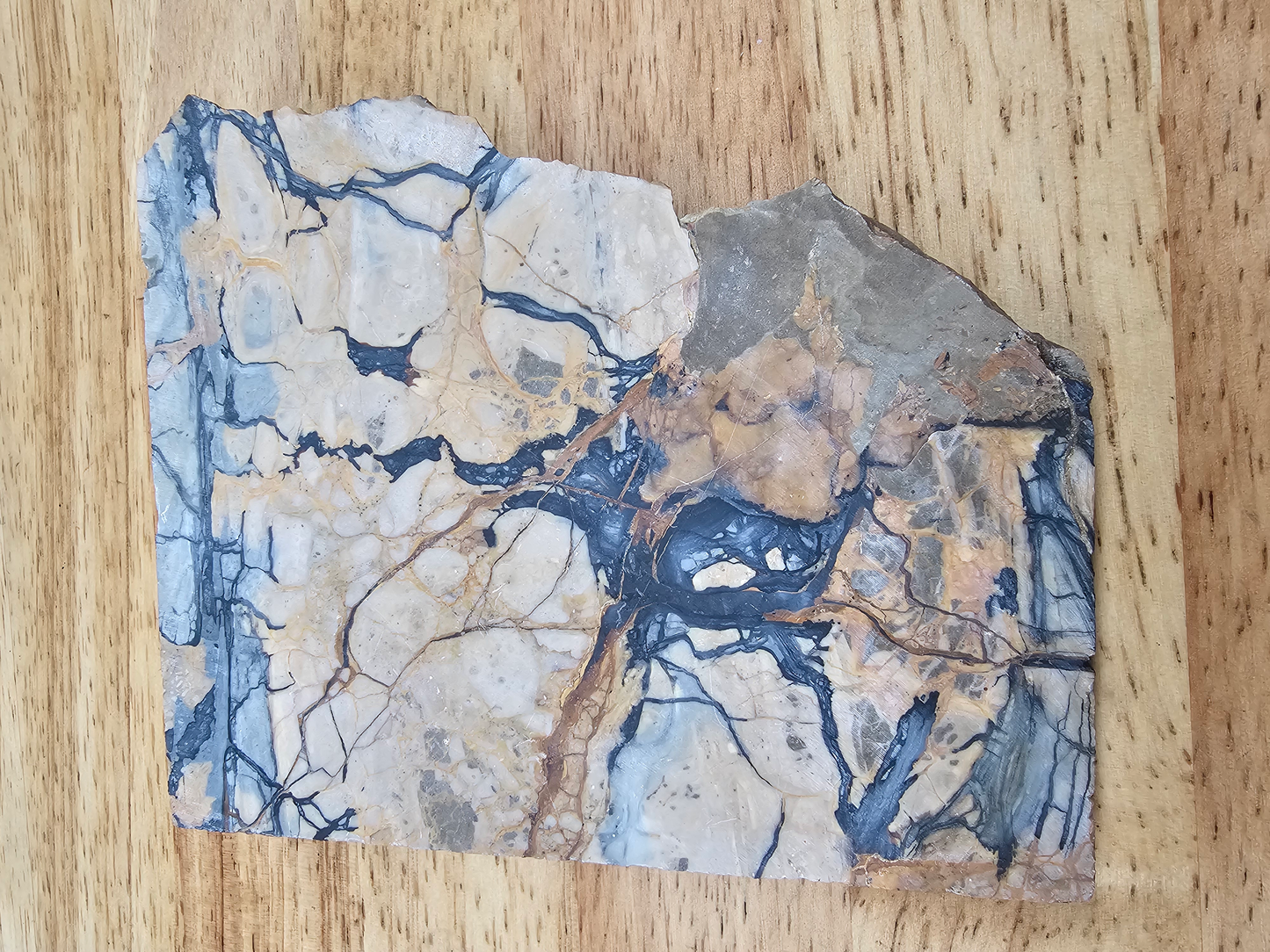 Pacific Coast Picasso OT-x-00282