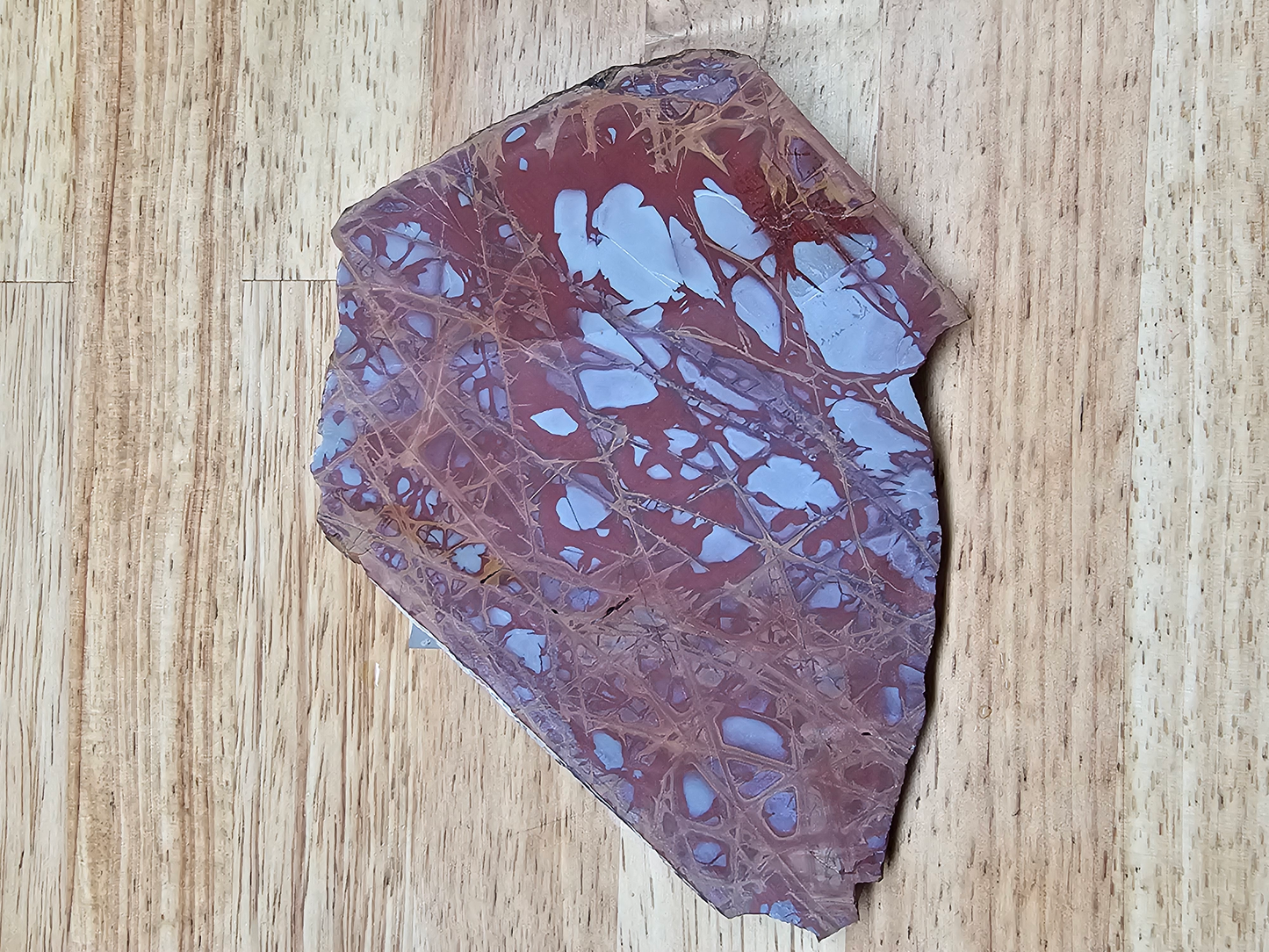 Noreena Jasper JA-00015-01