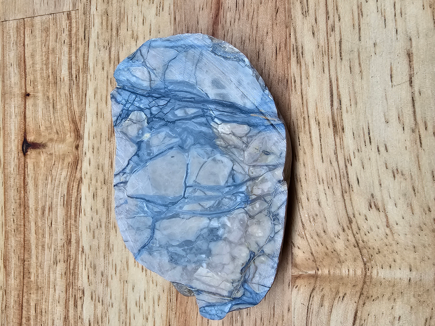 Pacific Coast Picasso OT-x-00280