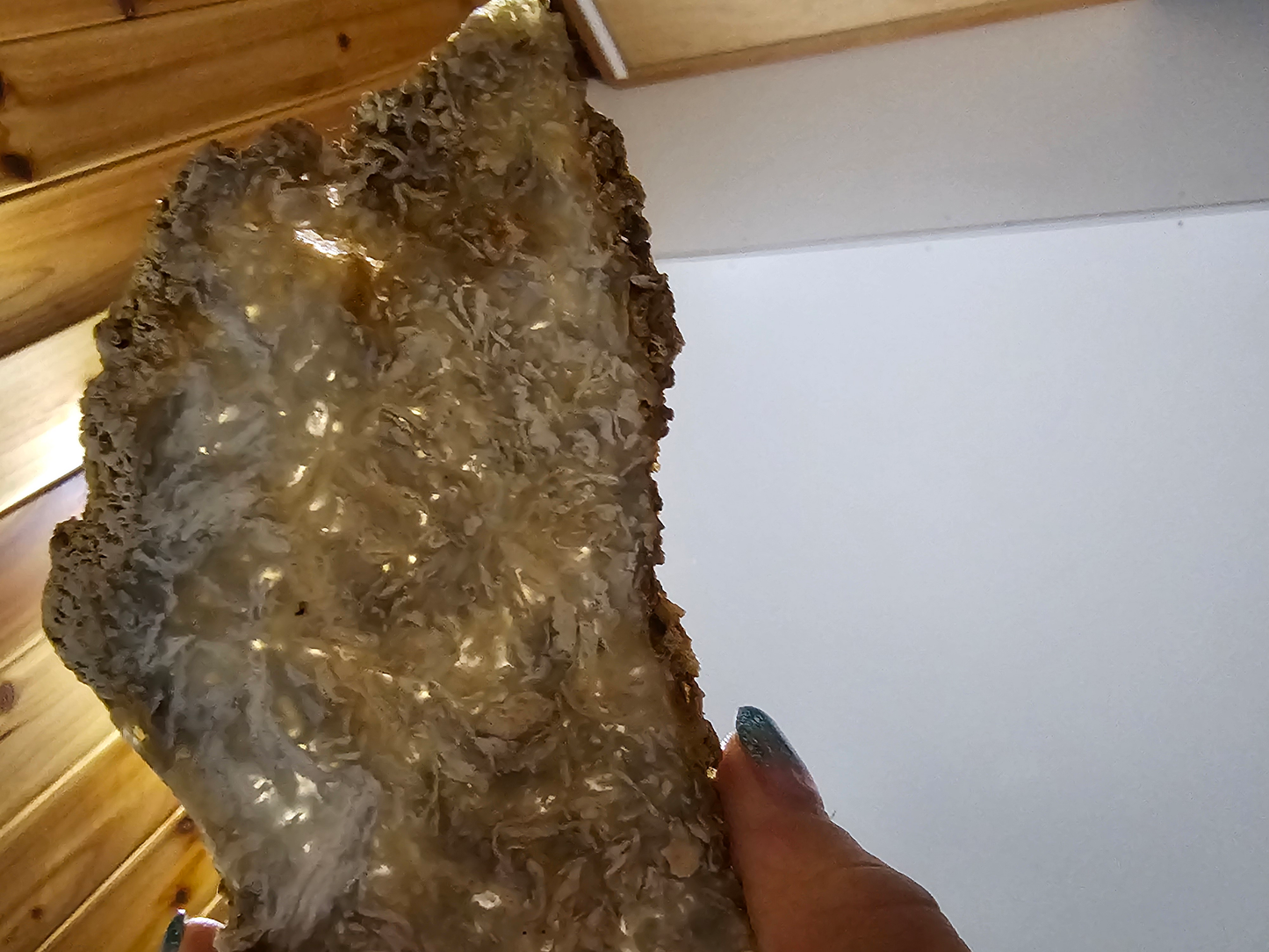 Agate AG-x-00175