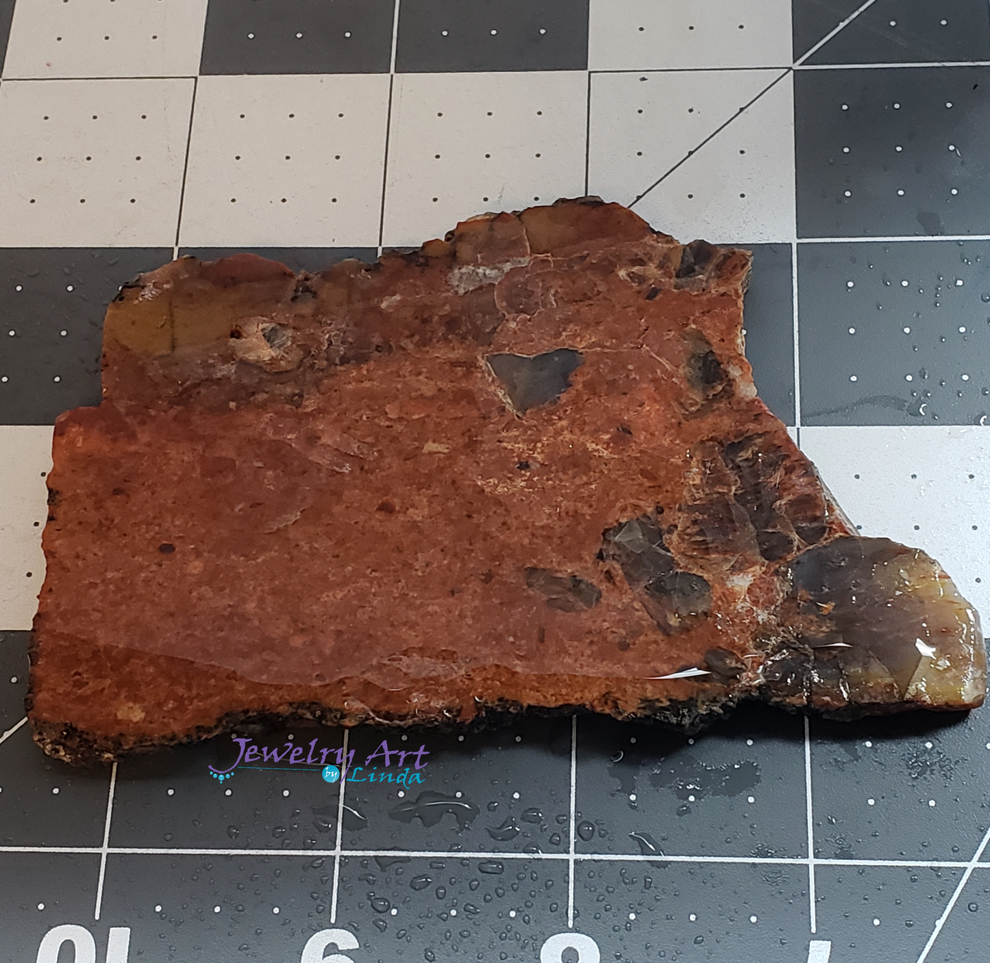 Petrified Wood PW-00003-02