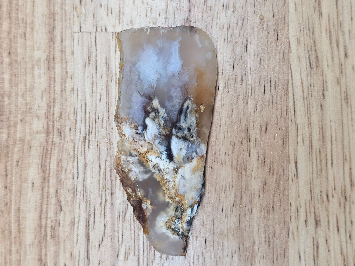 Graveyard Point Plume Agate AG-x-00139
