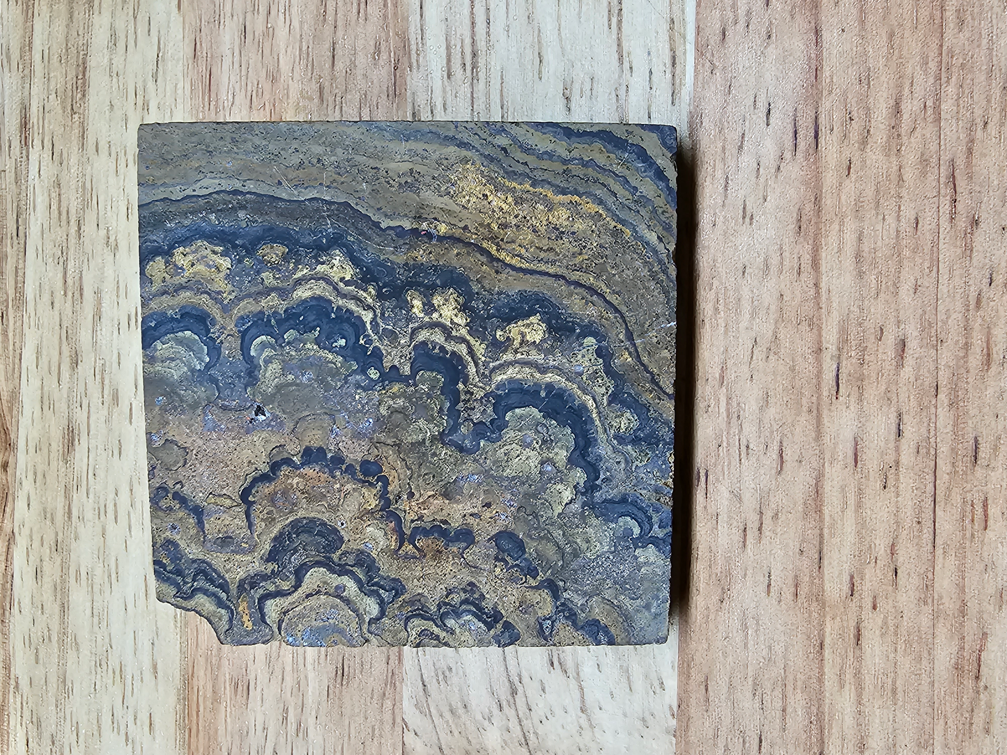 Stromatolite OT-x-00202
