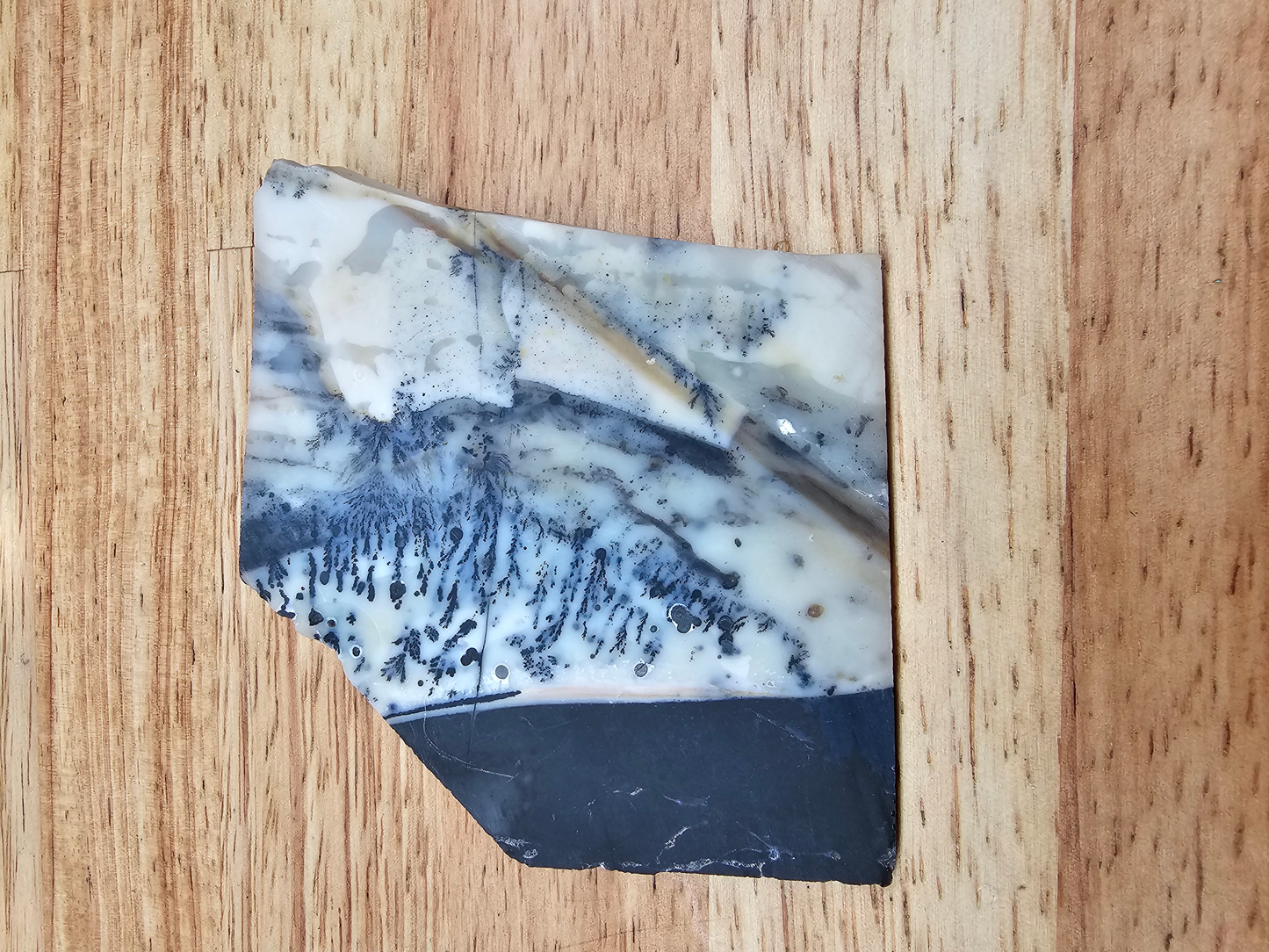 Mexican Parrarel Dendritic Agate AG-x-00136