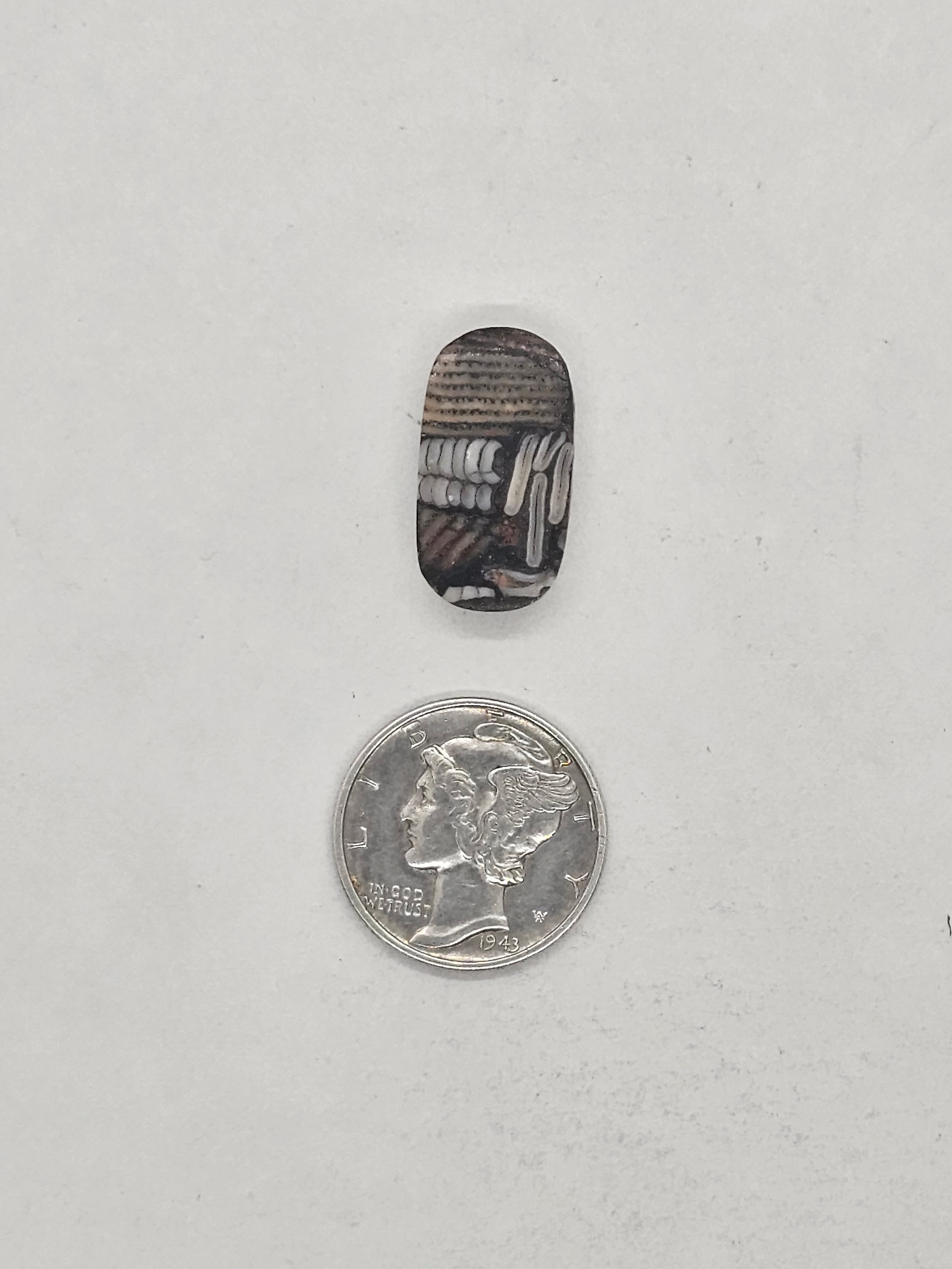 Biggs Picture Jasper Snakeskin FS-x-x-00134