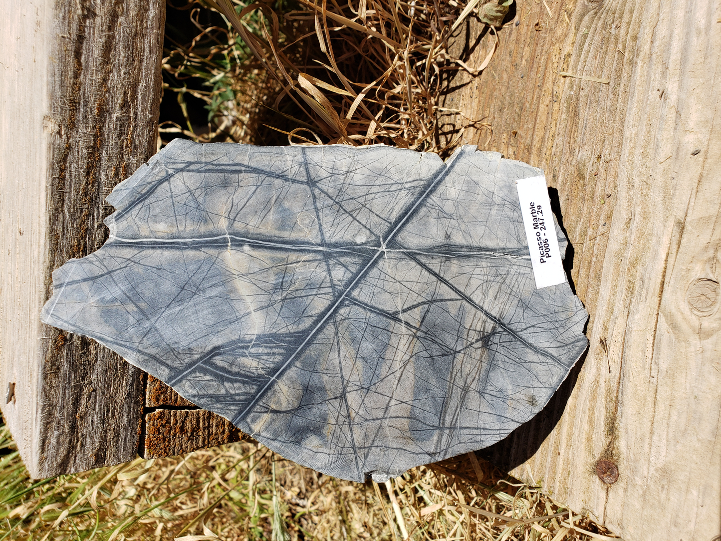 Picasso Marble PM-x-00004