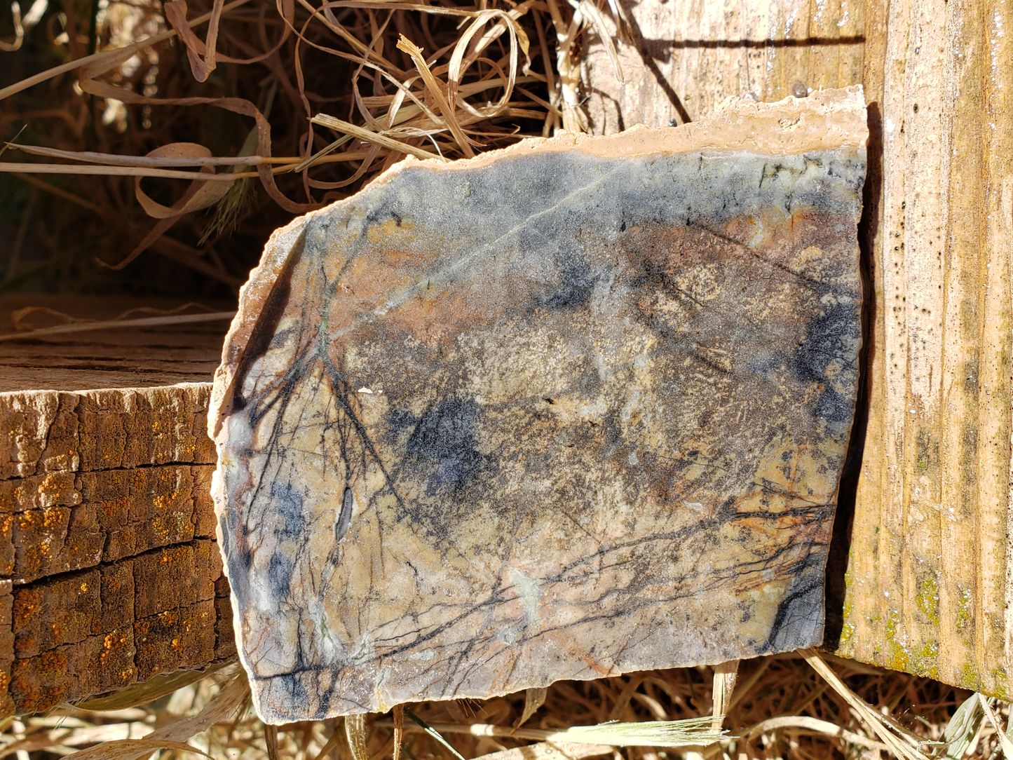Picasso Marble PM-x-00006