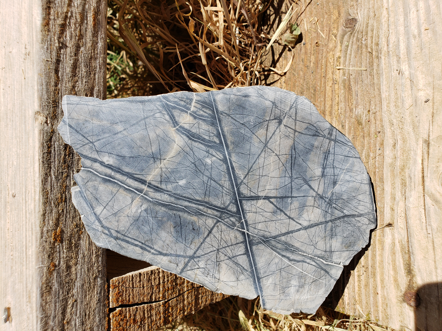 Picasso Marble PM-x-00004