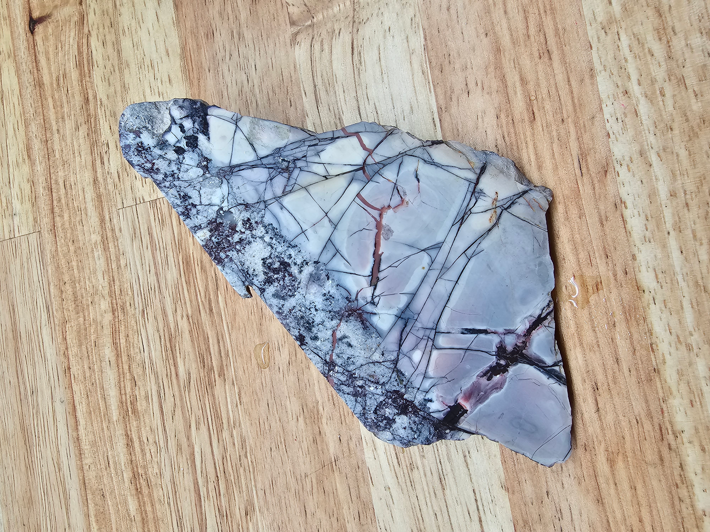 Porcelain Jasper Sci-Fi JA-x-00125
