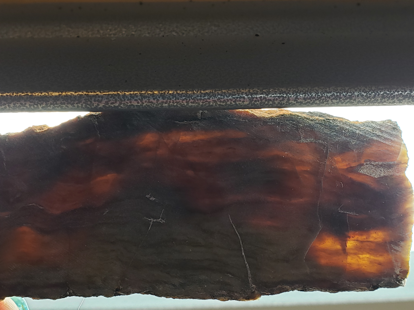 Petrified Wood PW-00004-05