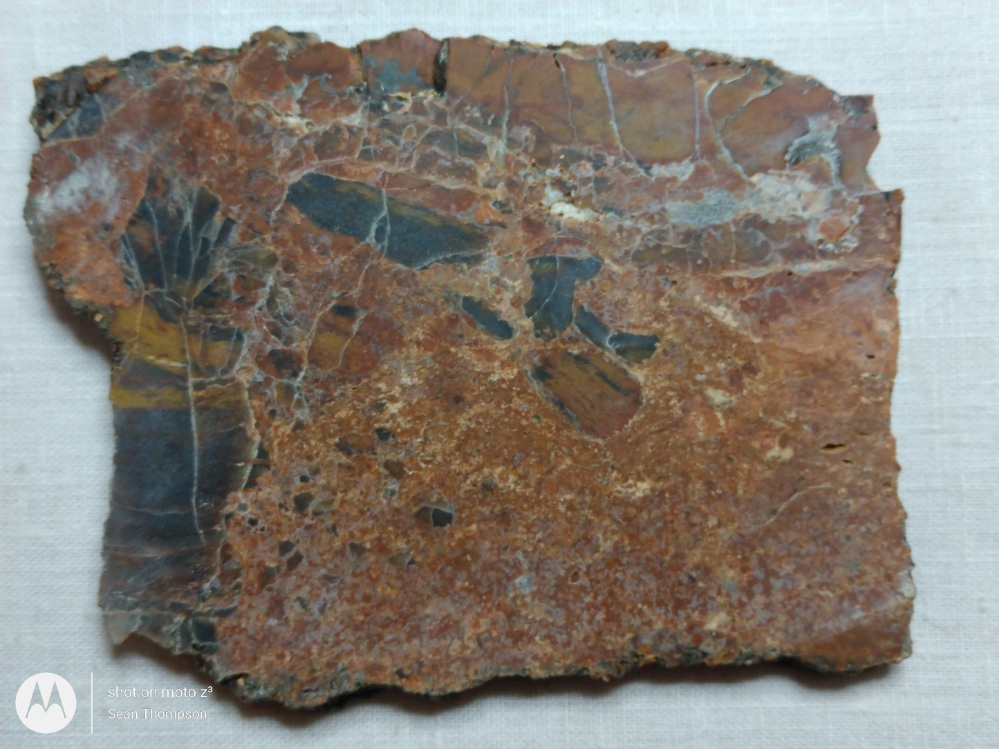 Petrified Wood PW-00005-02