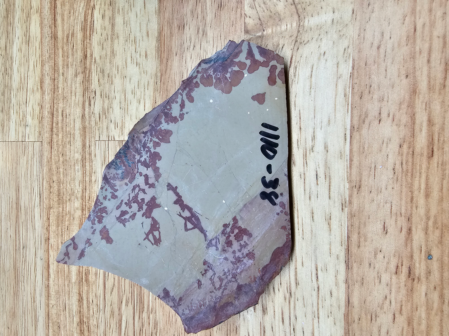 Owyhee Flower Jasper JA-x-00123