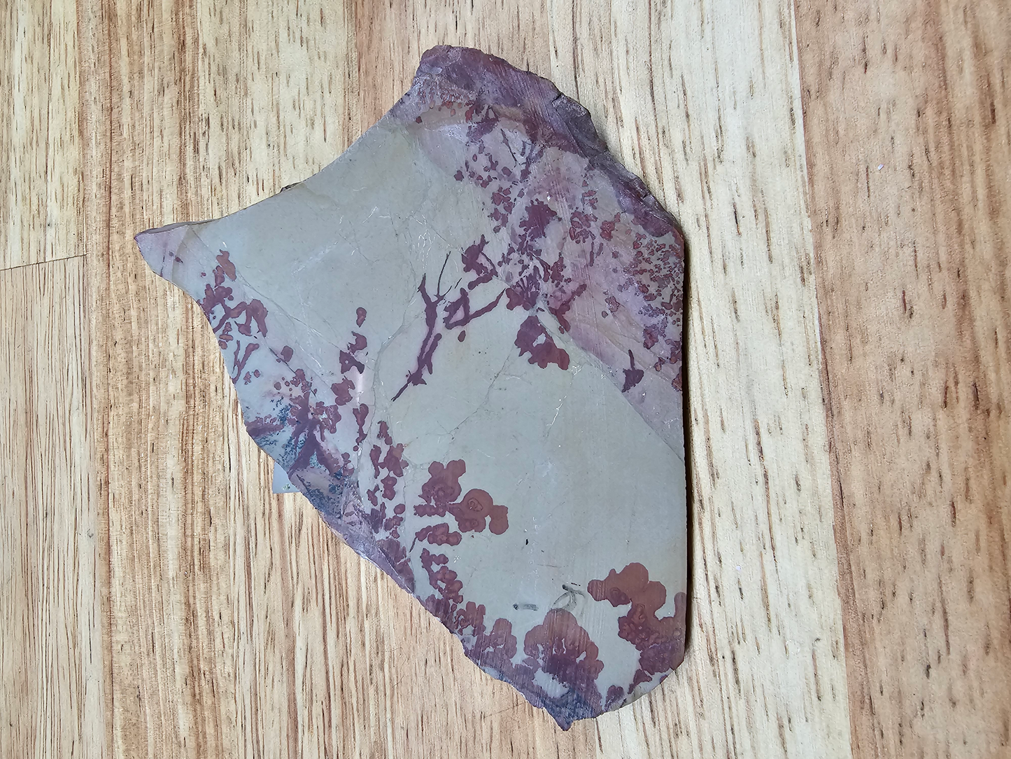 Owyhee Flower Jasper JA-x-00123