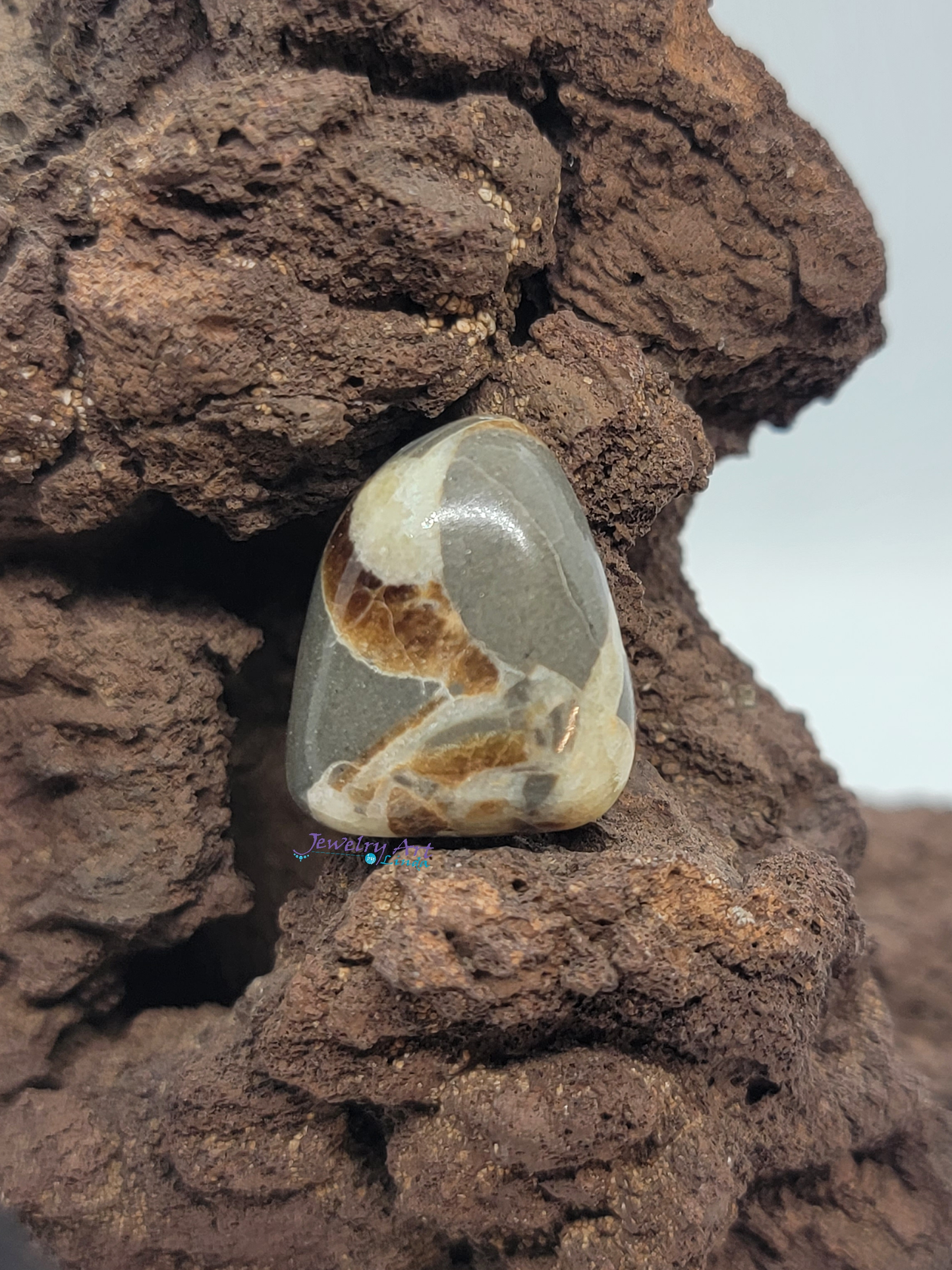 Septarian Nodule SN-x-00011-04