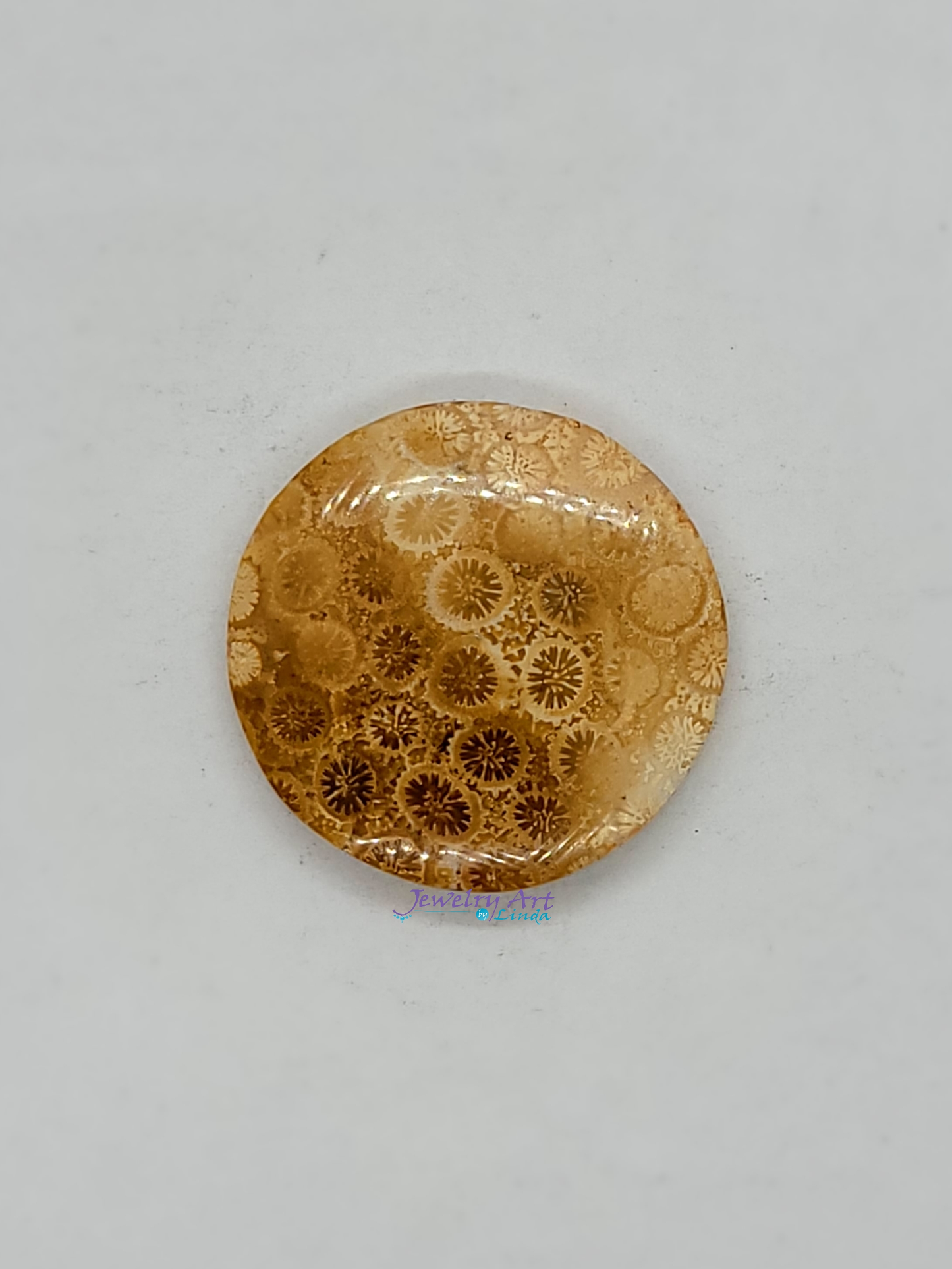 FS-x-x-00049