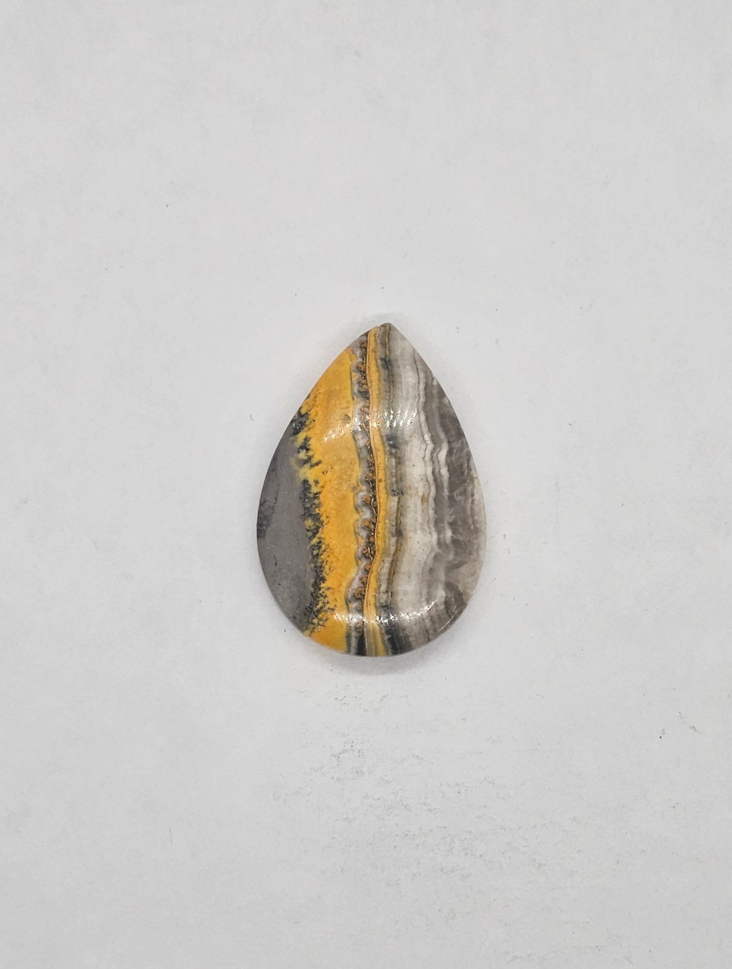 Bumble Bee Jasper JA-x-x-00139