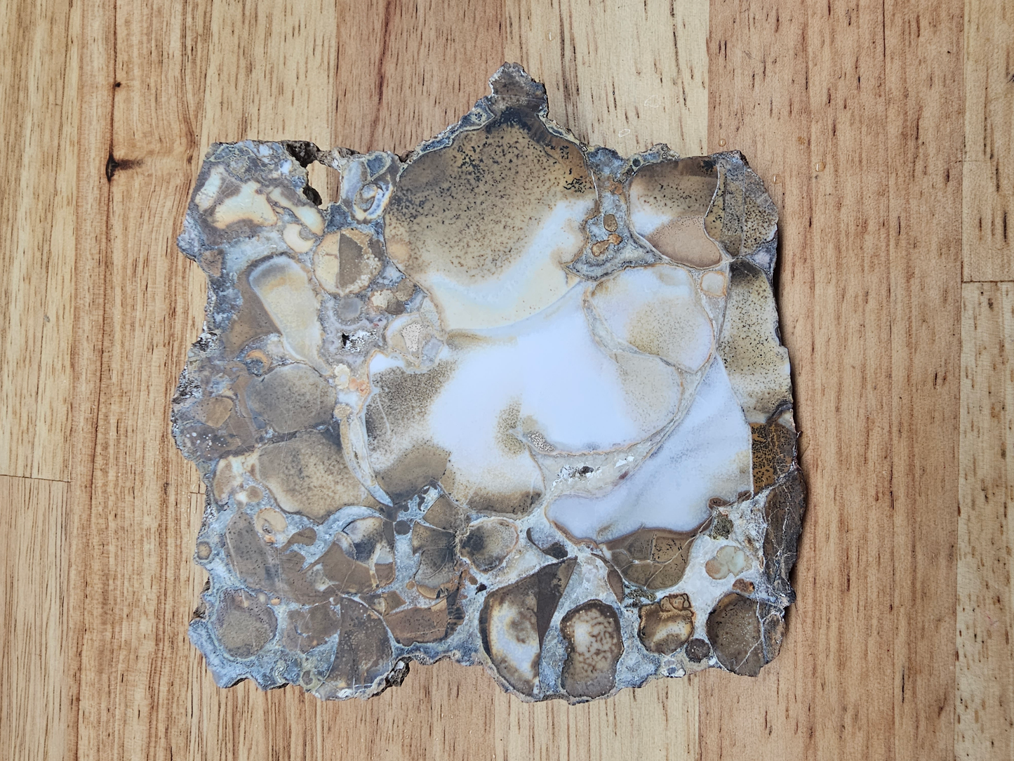 King Cobra Jasper JA-x-00150