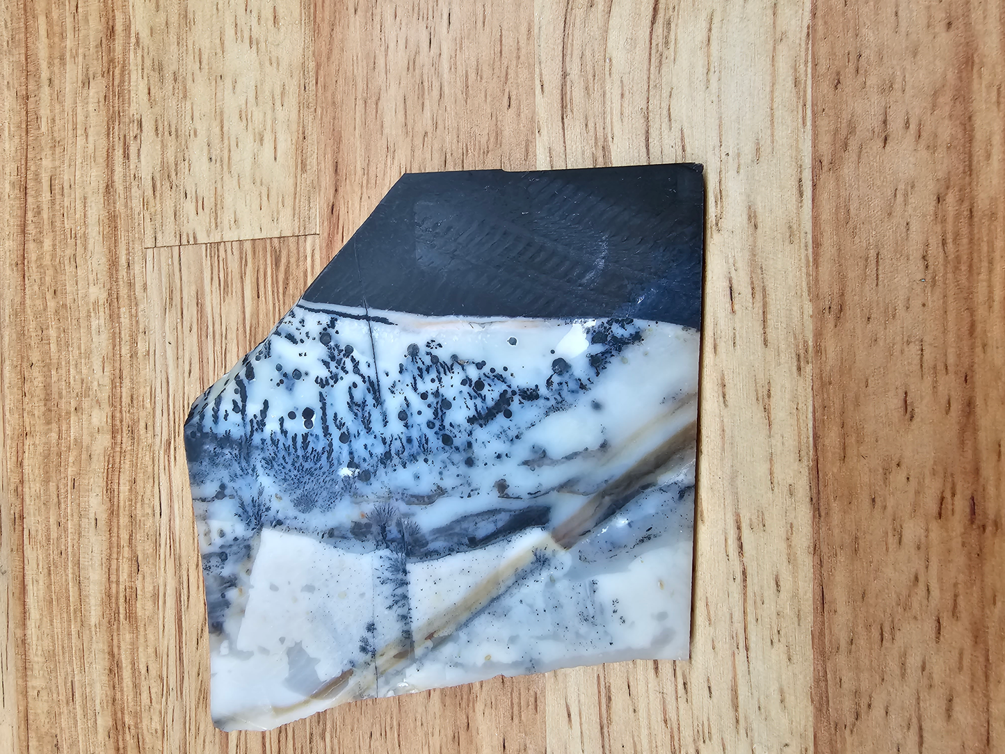 Mexican Parrarel Dendritic Agate AG-x-00136