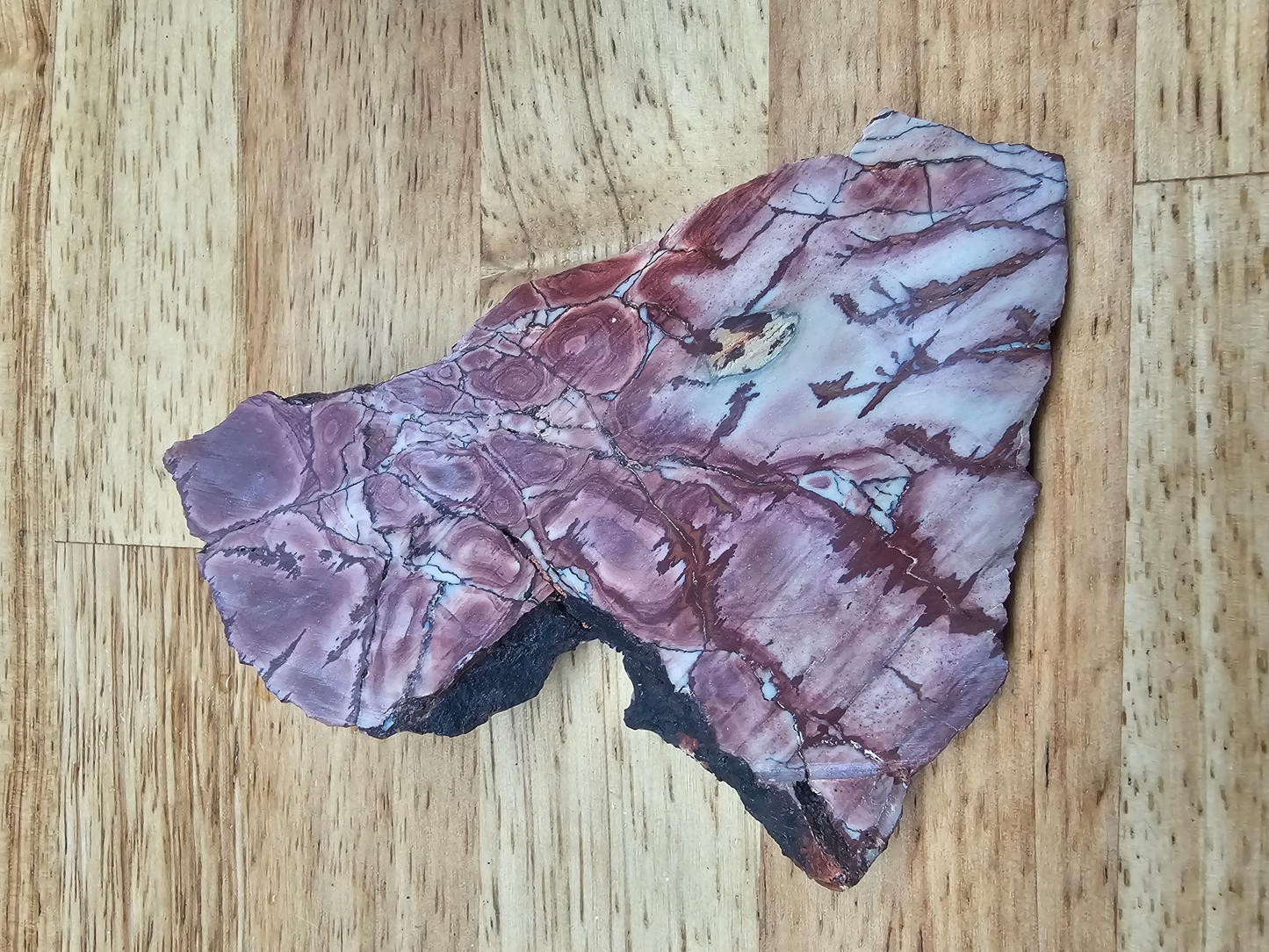 Dead Ringer Jasper JA-x-00144
