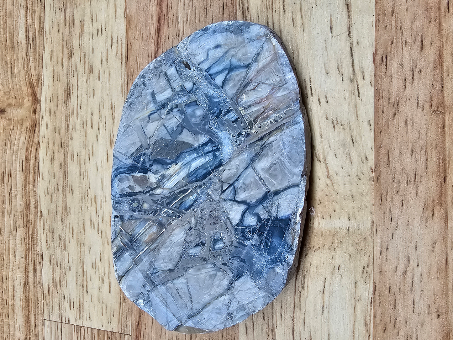 Pacific Coast Picasso OT-x-00281