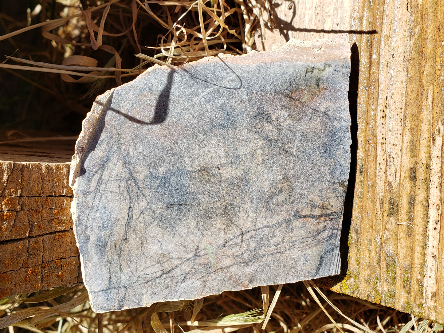 Picasso Marble PM-x-00006