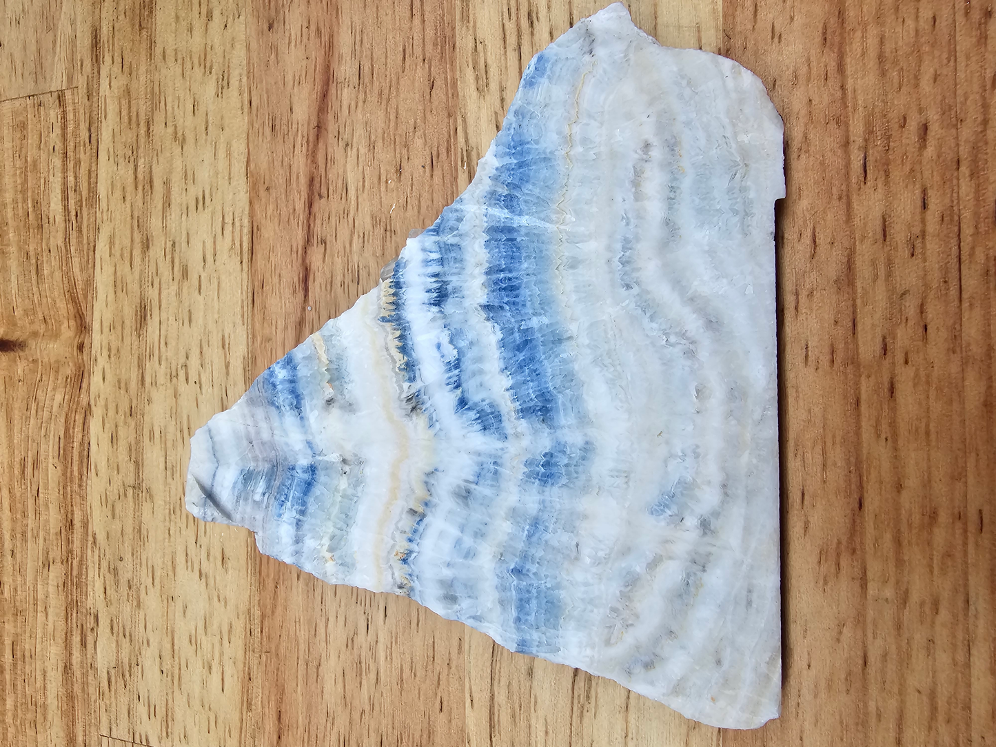 Lapis Laced Onyx NX-x-00036