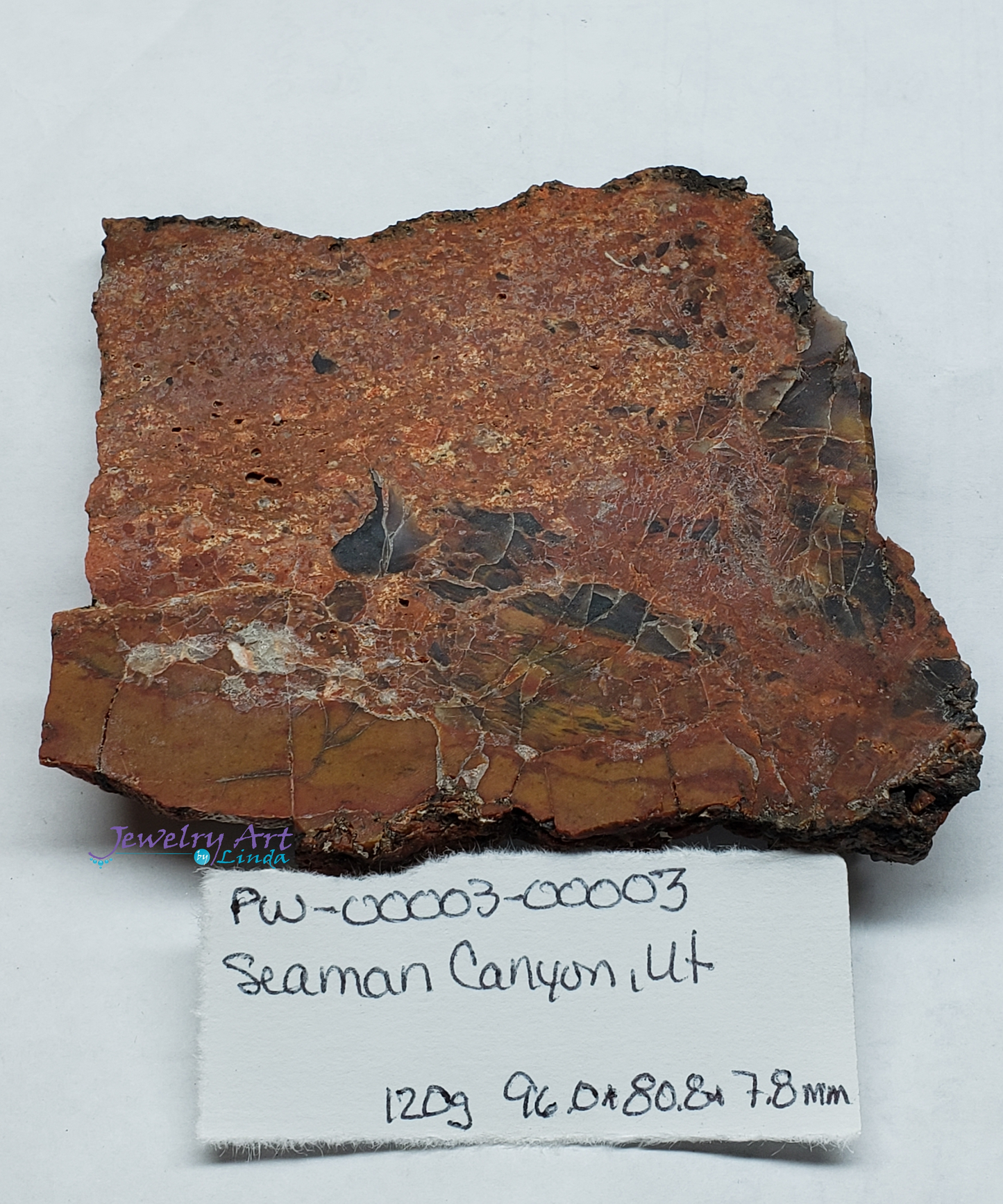 Petrified Wood PW-00003-03