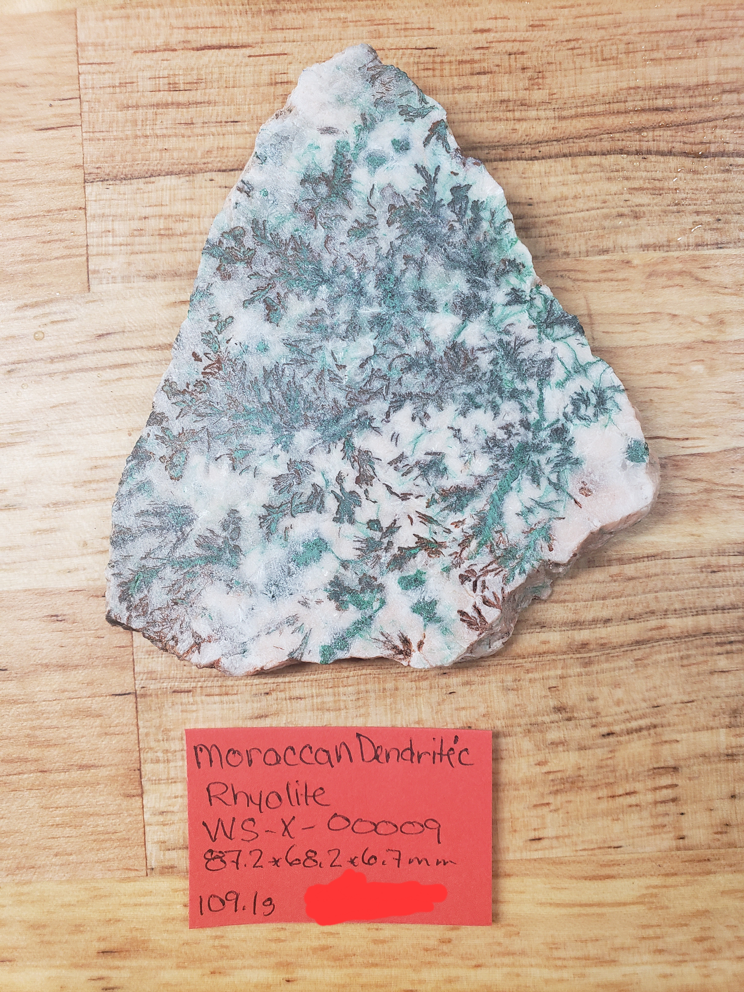 Moroccan Dendritic Rhyolite WS-x-00009