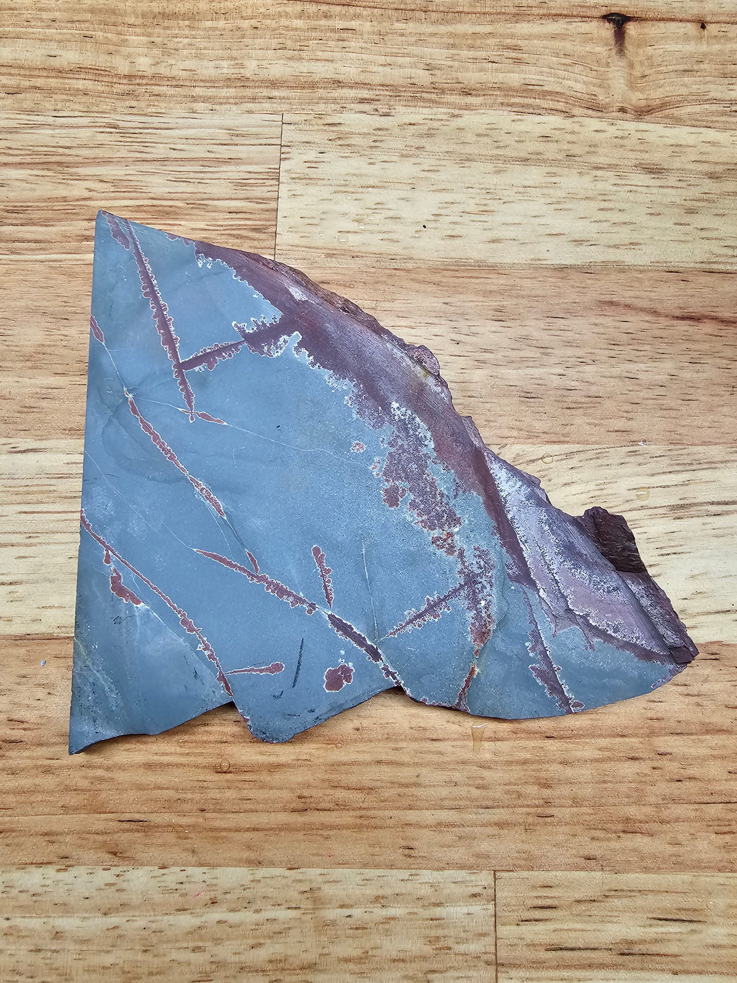 Sonoran Dendritic Jasper - JA-x-00091