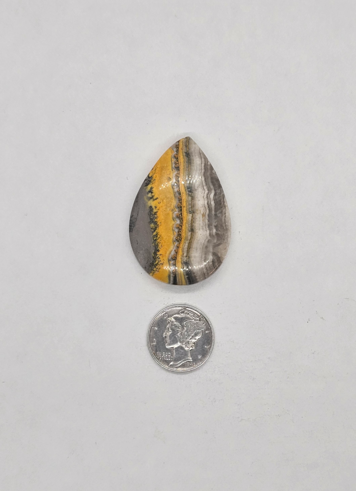 Bumble Bee Jasper JA-x-x-00139