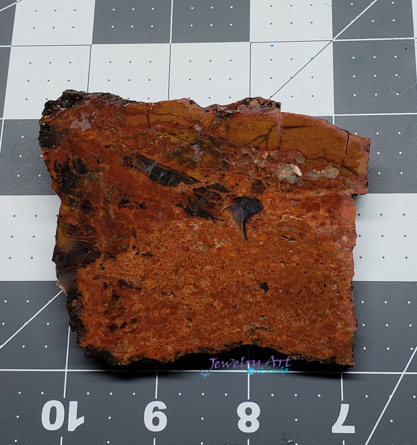 Petrified Wood PW-00003-03