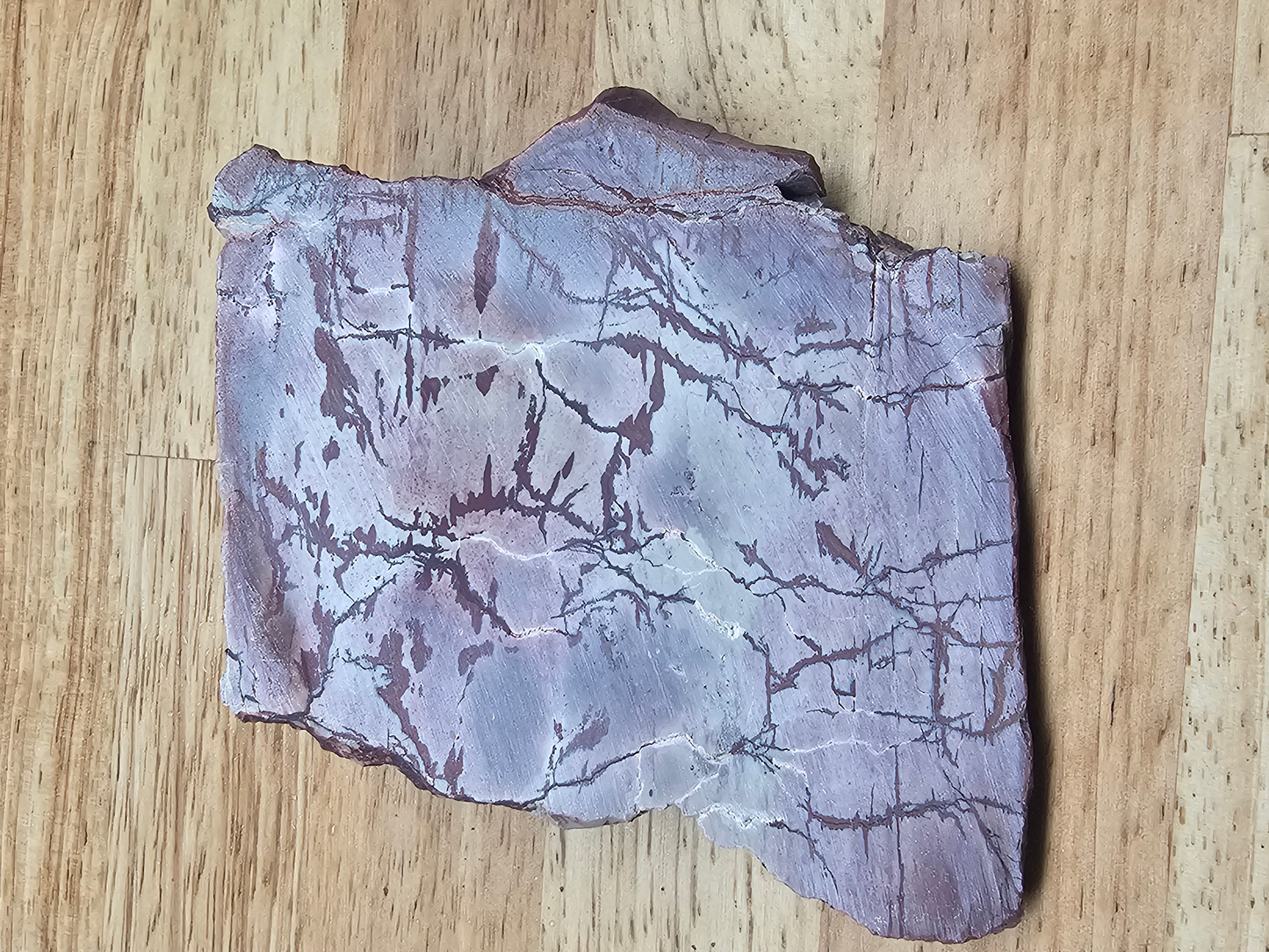 Dead Ringer Jasper JA-x-00146