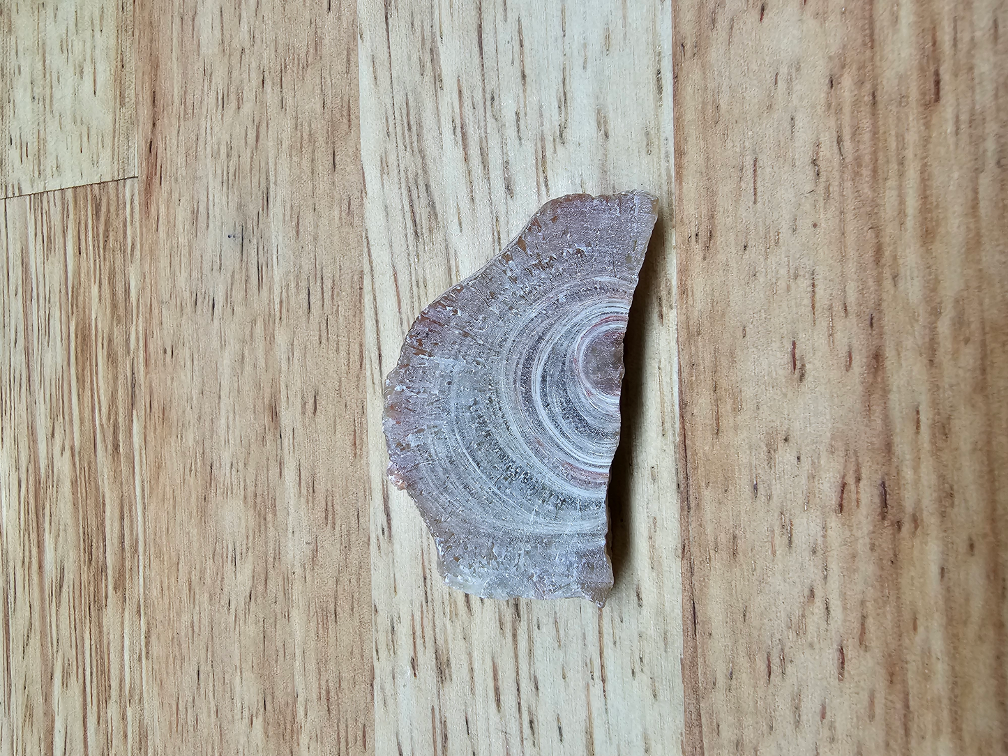 Kodachromsite OT-x-00230