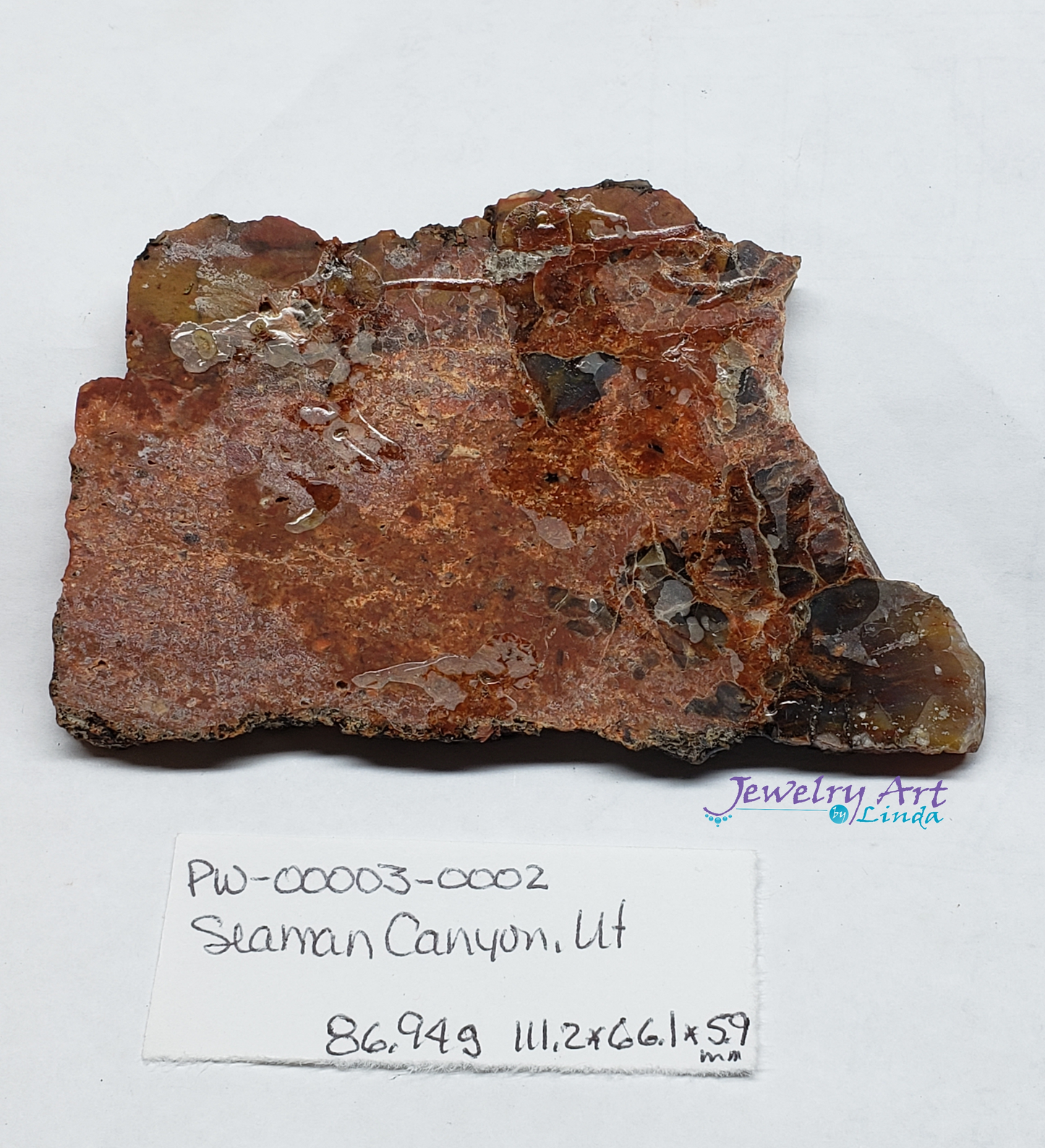 Petrified Wood PW-00003-02