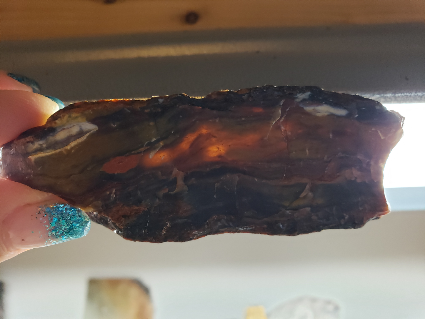 Petrified Wood PW-00004-01