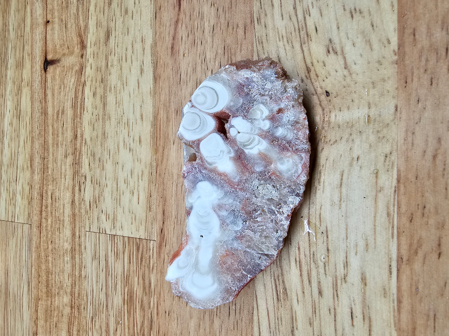 Kokweef Cave Onyx NX-x-00032