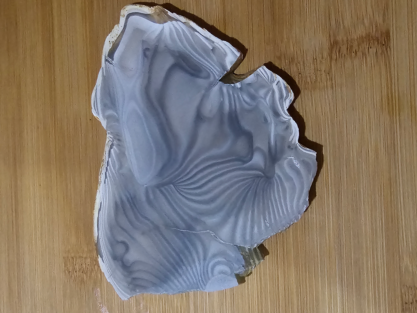 Polish Flint OT-x-00253