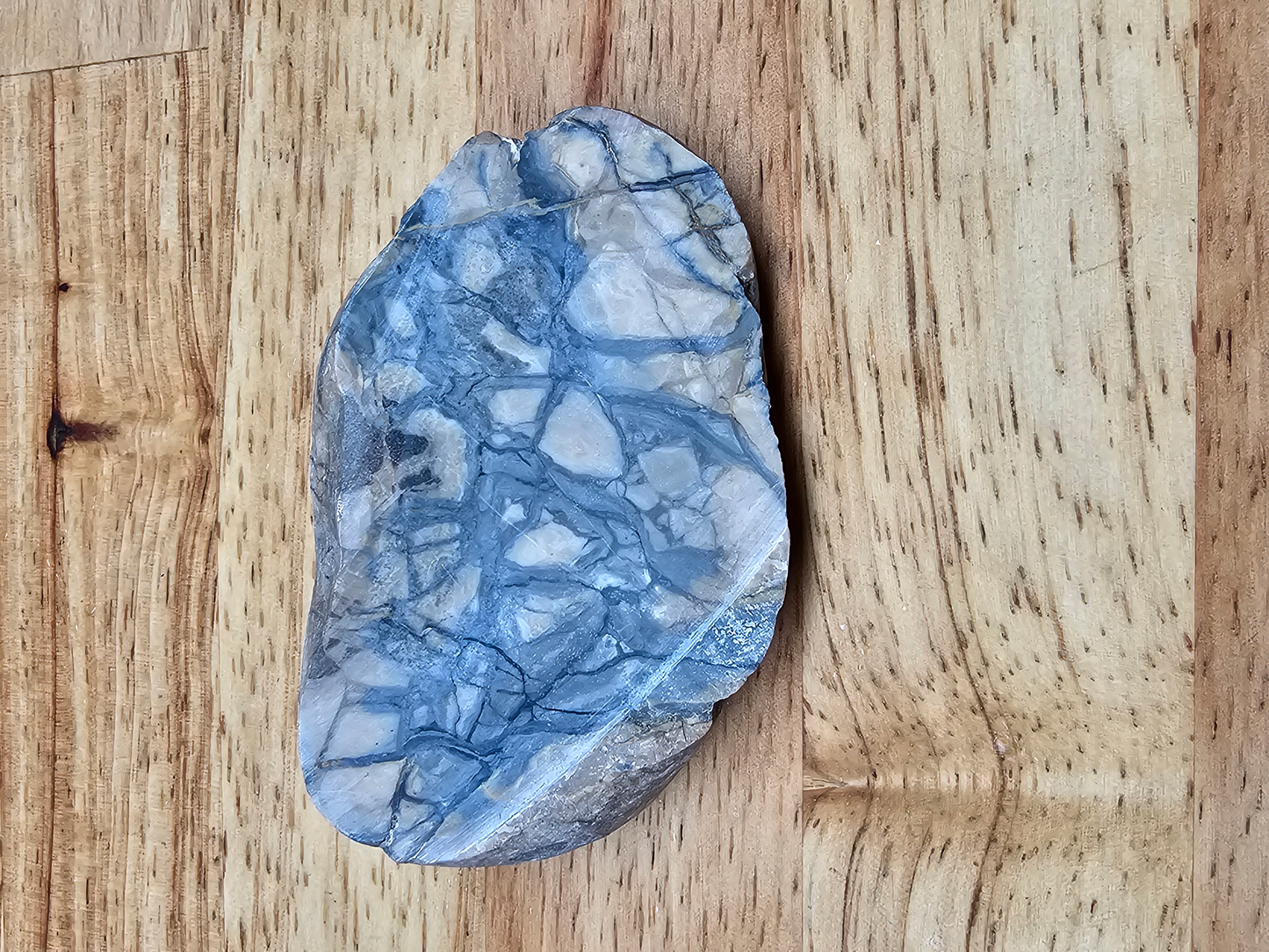 Pacific Coast Picasso OT-x-00280