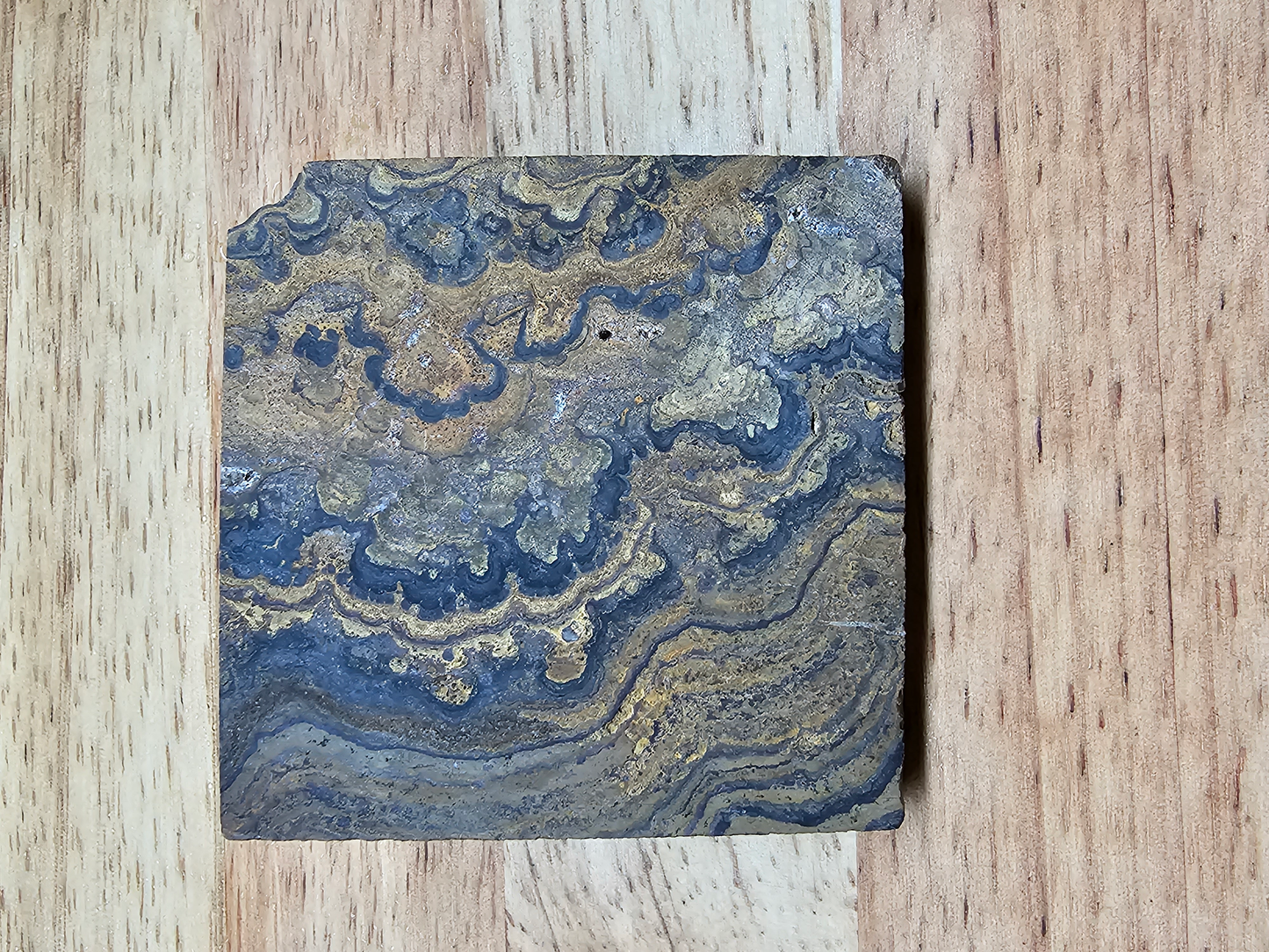 Stromatolite OT-x-00202