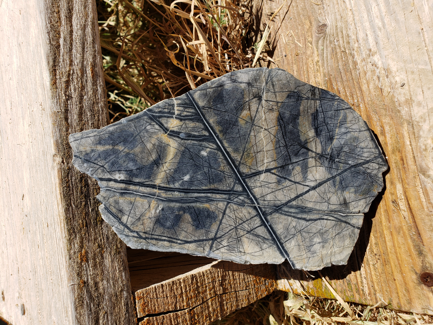 Picasso Marble PM-x-00004