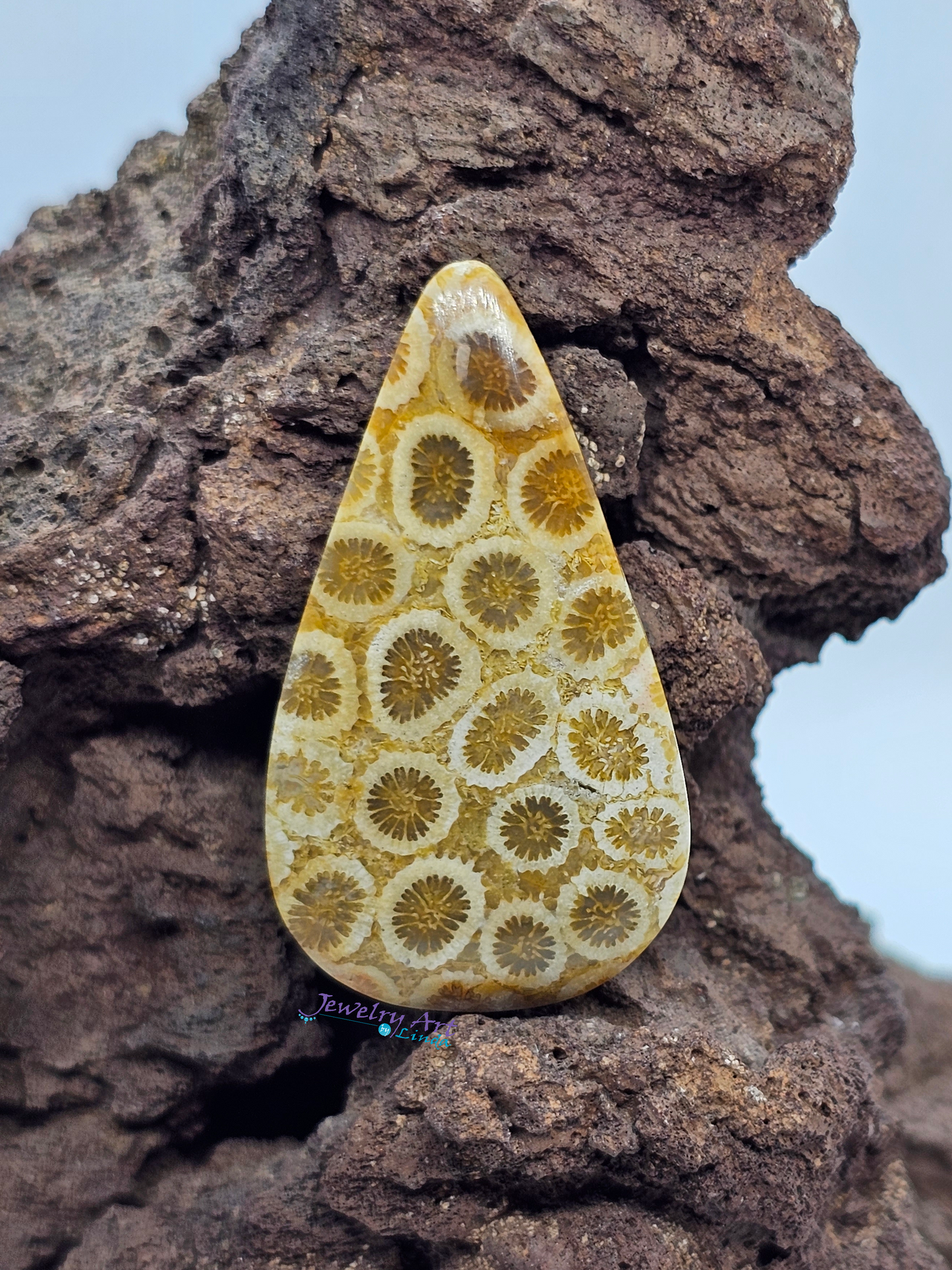 Petrified Coral FS-x-x-00145