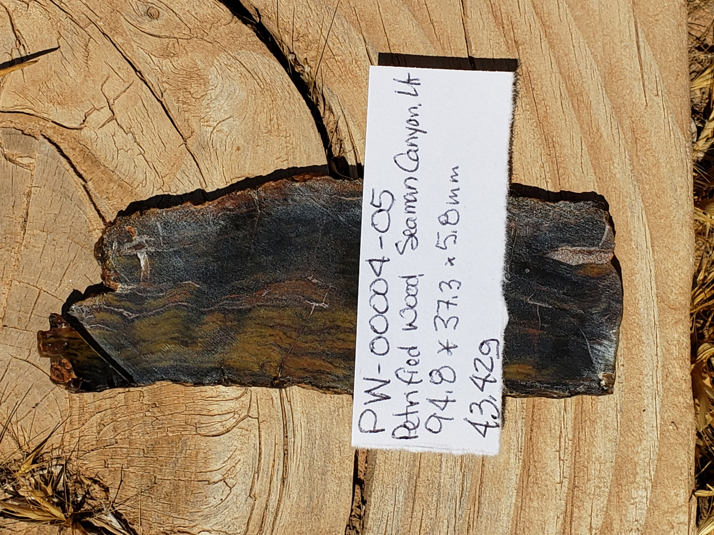 Petrified Wood PW-00004-05