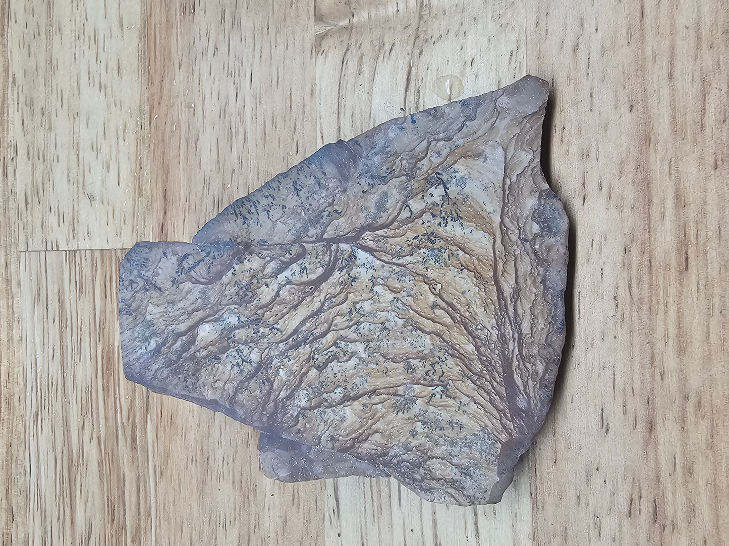 Owyhee Springs Mountain Picture Jasper JA-x-00158